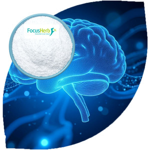 FocusHerb Acer Truncatum Extracto de semilla 90% Ácido nervónico - Product Image 1