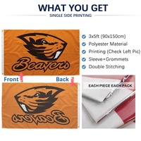 Drapeaux universitaires NCAA en gros 3x5FT 90x150cm en polyester imprimés numériquement pour les fans de sport des équipes universitaires