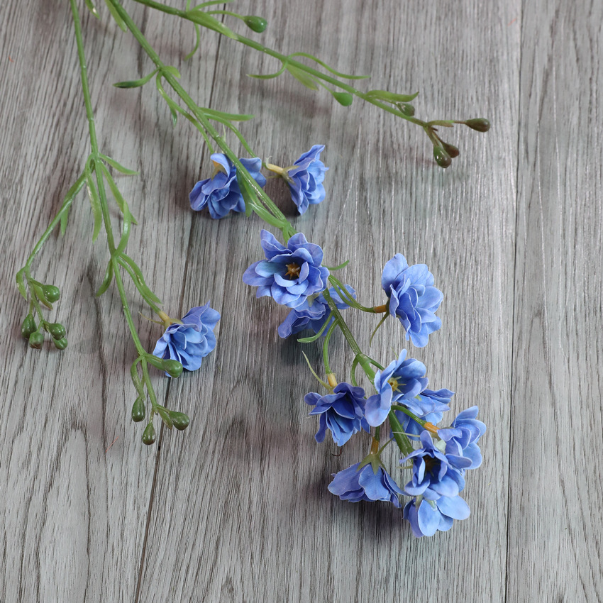 Blue 2