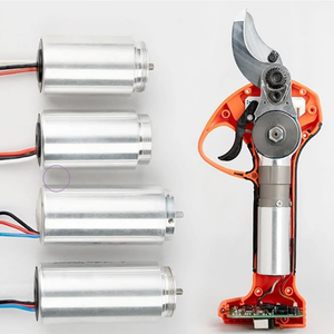 Mô-men xoắn cao tốc độ thấp động cơ 20000 vòng/phút không chổi than <span class=keywords><strong>DC</strong></span> 12V điều khiển động cơ - Product Image 6