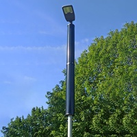 Panneau solaire tubulaire tout noir 100W, cellules SunPower haute efficacité, panneau solaire cylindrique 120W 140W, montage sur poteau pour éclairage CCTV
