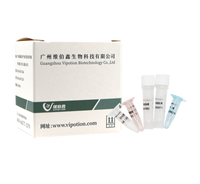 Kit de PCR en Tiempo Real Liofilizado para el Virus de la Leucosis Aviar VIPOTION NCQM-R-7031, PCR en Tiempo Real para Diagnóstico Veterinario de Aves/Pollos, Fácil de Usar