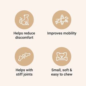 Suplemento Probiótico Masticable para Perros, Marca Privada OEM/ODM, para la Salud Digestiva, Inmunológica e Intestinal - Product Image 3