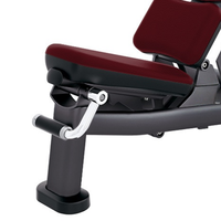 Banc de musculation réglable multifonctionnel inclinable, déclinable et plat pour la maison, la salle de sport et l'usage commercial