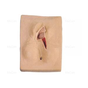 Simulator Pelatihan Penjahitan Vulva Model Pelatihan Penjahitan Vagina Model Pelatihan Insisi Perineal dan Penjahitan Tingkat Lanjut - Product Image 5