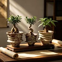 Pots à fleurs en céramique haute température de Jingdezhen pour succulentes et caudiciformes - Jardinières respirantes et résistantes à la corrosion