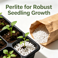 Granulés de perlite expansée poreuse, blanc pur, légers, 1-3 mm, qualité horticulture, amendement du sol hydroponique, aération, drainage