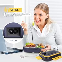 Réchauffeur de nourriture de boîte à lunch électrique personnalisé 110v 220v 12v 24v, boîte à lunch électrique chauffante portable avec sac de transport