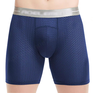 Calzoncillos bóxer de secado rápido para hombre de marca Premium, Bóxer deportivo de pierna larga de malla de poliéster de etiqueta privada para hombres jóvenes, logotipo impreso - Product Image 1