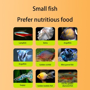 <span class=keywords><strong>YEE</strong></span>, venta al por mayor, comida de pescado de alta calidad, alta proteína, quistes de <span class=keywords><strong>Artemia</strong></span>, salmuera, camarones, huevos - Product Image 3