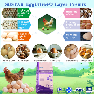 תוספי מזון בעלי חיים עופות תוספי מזון של בעלי חיים <span class=keywords><strong>premix</strong></span> עבור הנחת תרנגולות מינרלים פרמיה - Product Image 2