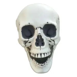 Scary Realistic Plastic Halloween Decorations Adult Size Human Skull Model