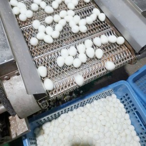 Tekfood dây chuyền chế biến thực phẩm Trứng chim cút Máy nồi hơi trứng cút và máy cắt vỏ máy nấu trứng cút công nghiệp - Product Image 1