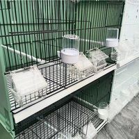 Cage à oiseaux pliable en fil d'acier écologique pour l'élevage et le vol des pinsons, perruches, calopsittes, conures, agapornis, canaris et perroquets