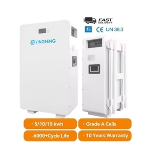Ifepo4 pin Lithium ion 51.2V 100AH 314ah 5kwh 10kwh 16kwh lưu trữ nhà hệ thống năng lượng pin treo tường 48V powerwall - Product Image 4