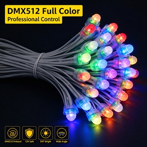 ไฟพิกเซล DMX512 สีสันสดใส DC 12V SMT โมดูล LED สว่างมาก มุมกว้าง กันน้ำ สำหรับงานโฆษณากลางแจ้ง - Product Image 1