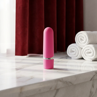 Leistungsstarker Wiederaufladbarer 10-Gang Bullet Vibrator Sexspielzeug für Frauen Massagegerät Orgasmus Sexuelles Erwachsenenprodukt Sextoy Frau