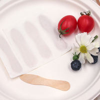 Vente chaude Bâtonnets de sucettes glacées personnalisés en bois enveloppés de papier, bâtonnets de cuillère à glace avec enveloppe en papier