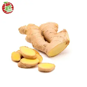 Fresh bulk ginger price for market