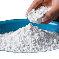 Expédition Rapide HONGYU Oxyde de Calcium (Chaux Végétale) Pierre Calcaire en Vrac Pureté 95%-96% Certifié ISO9001 Réglage du pH 200-1200 Mesh MOQ 1MT