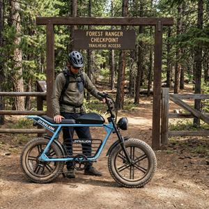 Vélo <span class=keywords><strong>de</strong></span> montagne électrique inspiré du VTT avec fourche à suspension avant, VTT électrique pour les sentiers forestiers et les chemins <span class=keywords><strong>de</strong></span> ravitaillement des gardes forestiers - Product Image 1