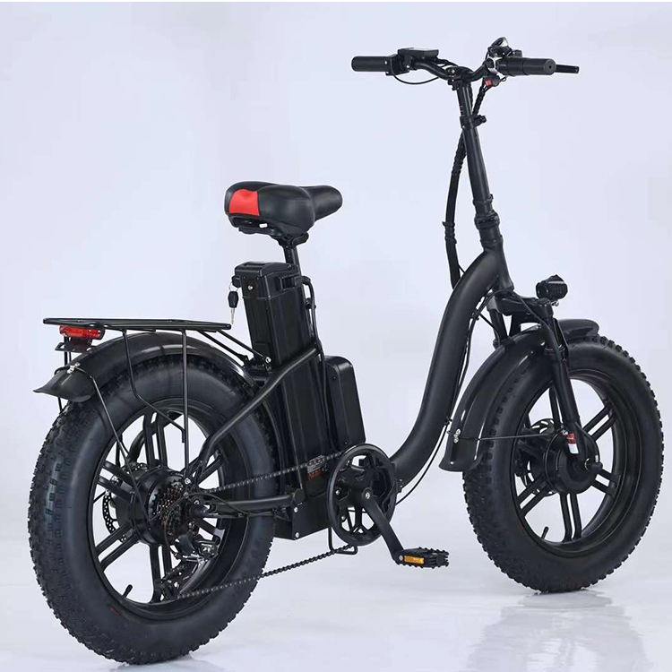 2022 New Design 20 Inch Folding Electric Bike 48V 12ah 750W 1000w 