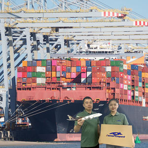 Tariffe di spedizione assicurative gratuite/servizi di Seacargo cina to USA/europa/in tutto il mondo FBA spedizioniere agente logistico - Product Image 6