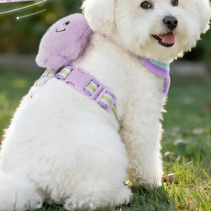 Arnés Personalizado para Mascotas con Logotipo, Estilo Chaleco, Juego de Correa para Perro, Diseño Bonito, Arnés Ajustable para Cachorros y Perros Pequeños - Product Image 2