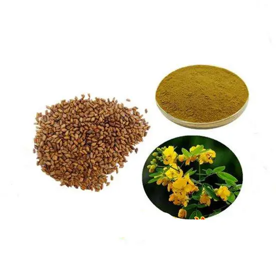 Natural Slimming Cassia Obtusifolia Seed Extract High Purity Juemingzi Seed Extract