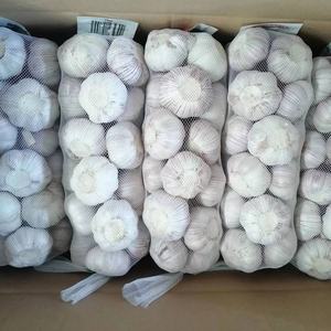 Exportadores de ajo Suministro de China Ajo natural Ails/Ajo/Alho 4,5 cm-6,5 cm Embalado por cartón/bolsa Calidad de exportación - Product Image 1