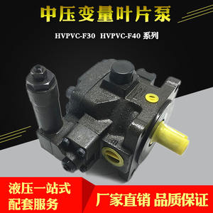 ปั๊มใบพัดปรับแรงดันปานกลางและสูง HVPVC-F30/F40/F20-A2/A4/A3-02 ปั๊มน้ำมันไฮดรอลิก ปั๊มไฮดรอลิก - Product Image 4