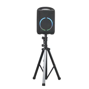 Temeisheng TMS-630 6.5 inç subwoofer Karaoke makinesi ile parti plaj kamp garaj için Loud Stereo ses