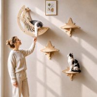 Étagères murales pour chats en bois, design Lune et Étoile, mobilier pour chats, gain de place, accessoires pour chats, vente en gros