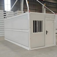 Maison conteneur pliable et extensible à montage rapide, préfabriquée, pour le stockage d'équipements de jardin en arrière-cour