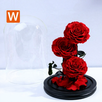 Coffret Luxe 3 Roses Éternelles Sous Cloche en Verre – Décoration Mariage, Noël, Anniversaire, Remise de Diplôme – Lumière LED Intégrée