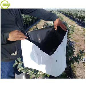 <span class=keywords><strong>Sac</strong></span> de <span class=keywords><strong>plantation</strong></span> <span class=keywords><strong>en</strong></span> plastique économique pour fraise - Product Image 2