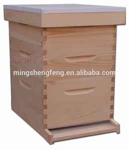 Colmena Dadant, Disponible en PP/Madera, 10-11 Cuadros, Apta para Abejas Chinas y Occidentales - Product Image 4