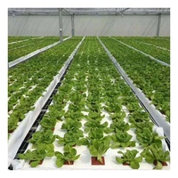Système hydroponique en acier portable, économe en énergie, respectueux de l'environnement, super résistant pour les plantes à feuilles