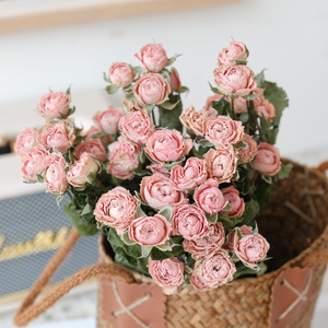 Branches de fleurs naturelles séchées multi-têtes en forme de diamant, mini-roses séchées à l'air, vraies fleurs Rosa Multiflora pour arrangements floraux, bouquets et vases - Product Image 1