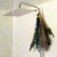 Feuilles d'eucalyptus séchées avec tiges de lavande en lot, en vrac, pour arrangements floraux de mariage, décoration intérieure, verdure, vente en gros d'usine OEM