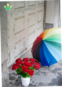 <span class=keywords><strong>Geranios</strong></span> <span class=keywords><strong>artificiales</strong></span> de seda para decoración del hogar, plantas de jardín, <span class=keywords><strong>geranios</strong></span>, Rojo - Product Image 3