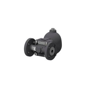 Piège à vapeur Waltz Team FLT31 1/2 po en acier au carbone avec vanne de réduction de pression pour usage industriel - Product Image 1