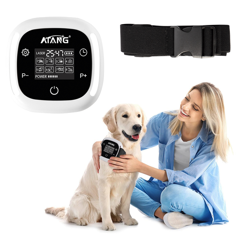 Best Quality Factory Direct Sale Handheld