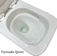 WC monobloc mural en céramique sans bride, à double chasse, cuvette carrée, siphon en P, norme européenne, pour salle de bain, avec fonction de lavage des fesses
