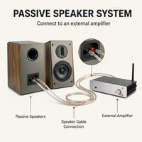 Samtronic Enceintes passives stéréo HIFI 2.0 de 5,25 pouces, 4 ohms, 200W, pour bibliothèque, en MDF, moule privé pour amplificateur