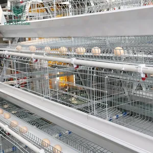 Hightop自動家禽農機具タイプ重層産卵鶏ケージシステム自動供給システム