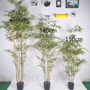 Clôture naturelle en <span class=keywords><strong>bambou</strong></span>, 1 pièce, tendance, panneaux d'écran, plantes pour décoration intérieure et extérieure de la maison - Product Image 3