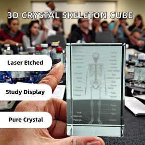 Cubo di Cristallo K9 Inciso al Laser 3D, Modello di Organi Umani: Cuore, Cervello, Dente, Scheletro, Fegato, Ornamento Didattico Medico, Souvenir per Dottori - Product Image 1