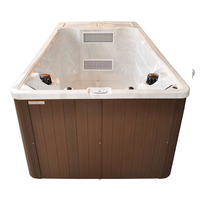 DSL-SW395DB 3-Personen Familien-Outdoor-Whirlpool, oberirdisch, Acryl, mit Sprudelmassage