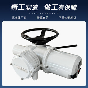 Actuador eléctrico Leicester Rq, estándar nacional para la industria petrolera y química - Product Image 4